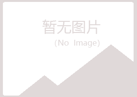 鹤山区敷衍能源有限公司